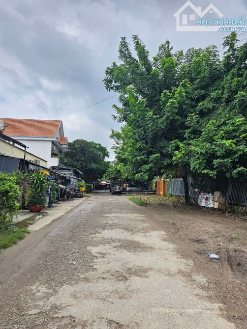 26Tỷ TL🔥Bán 1535m2.đất 2MT gần đường Thủ Khoa Huân 50m( 48x73m2) p.Thuận Giao_Tp.Thuận An - 5