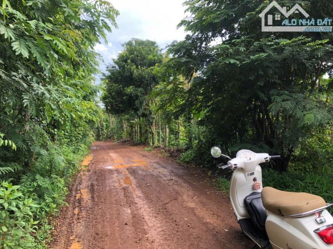 ĐẤT SÀO GIÁ TỐT SAU LƯNG TRƯỜNG MẦM NON CƯ EBUA 2,7 SÀO CHỈ 1,85 Ty - Loctran - 5