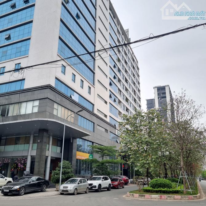 BÁN BIỆT THỰ KHỦNG  VƯỜN ĐÀO 203M2, MT 15M - TT QUẬN TÂY HỒ - 5