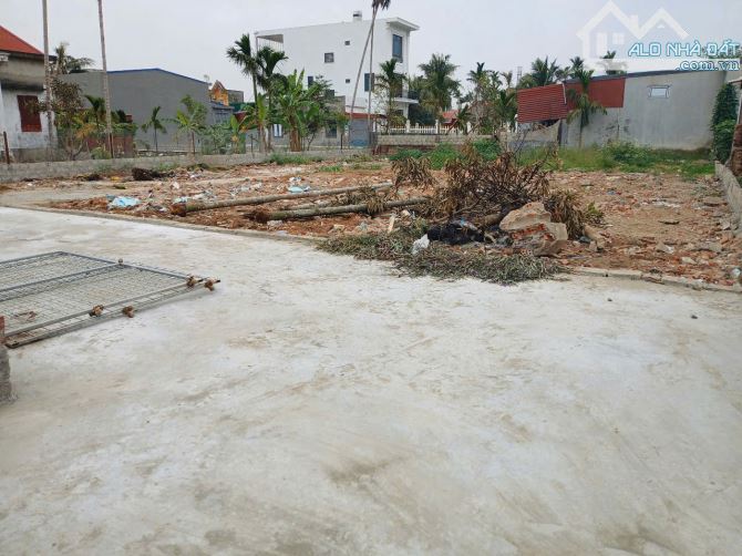 146m2 đất rộng tại Tân Phong, Kiến Thụy làm nhà vườn đẹp - 5