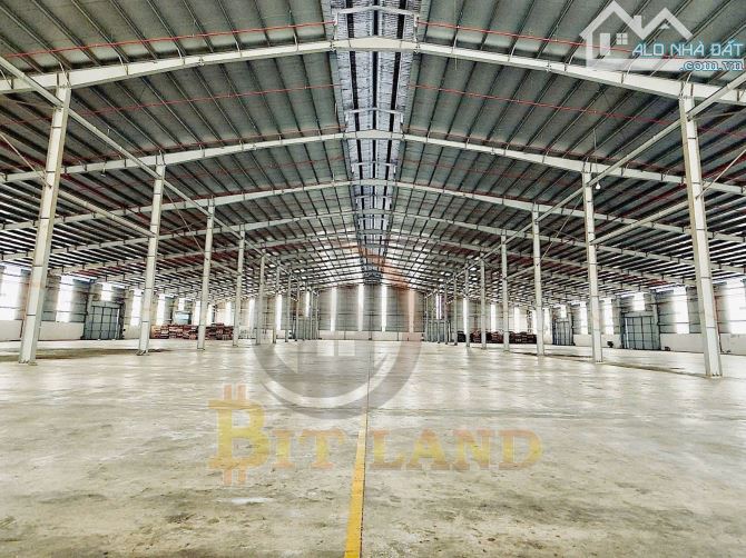 XT209 CHO THUÊ XƯỞNG GIÁ RẺ NHẤT KCN LONG THÀNH - 5