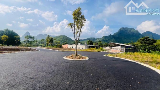 Bán Đất Nền Giá Rẻ Hòa Bình – Sổ Hồng Riêng, Gần Sân Golf Bình Sơn & Khu Nghỉ Dưỡng Khoáng - 6
