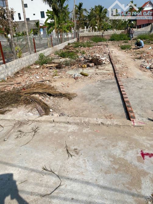 146m2 đất rộng tại Tân Phong, Kiến Thụy làm nhà vườn đẹp - 6