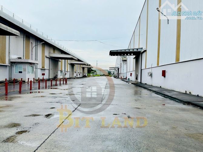 XT209 CHO THUÊ XƯỞNG GIÁ RẺ NHẤT KCN LONG THÀNH - 6