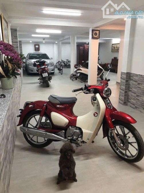 Đi định cư cần bán gấp biệt thự Cao Lỗ Q8. Nội thất cao cấp, hiện đại. Khu vực anh ninh - 8