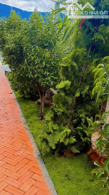 Nhà cấp 4 sân vườn view đẹp đường Đankia, P.LangBiang ( p7 cũ ), Đà Lạt - 8