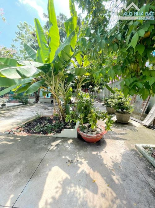SỞ HỮU NGAY BIỆT THỰ SÂN VƯỜN CỰC KHỦNG 3.268M2, CÓ DÒNG TIỀN SẴN. GIÁ BAO RẺ NHỈN 20TR - 8