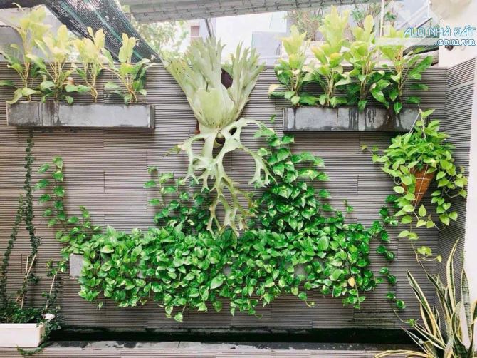 🌈 RẤT THIỆN CHÍ BÁN GIÁ HỢP LÝ.Đ.PHÚ LỘC 1.P.HOÀ MINH.Q.LIÊN CHIỂU.TP.ĐÀ NẴNG. - 9