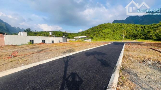 Bán Đất Nền Giá Rẻ Hòa Bình – Sổ Hồng Riêng, Gần Sân Golf Bình Sơn & Khu Nghỉ Dưỡng Khoáng - 9