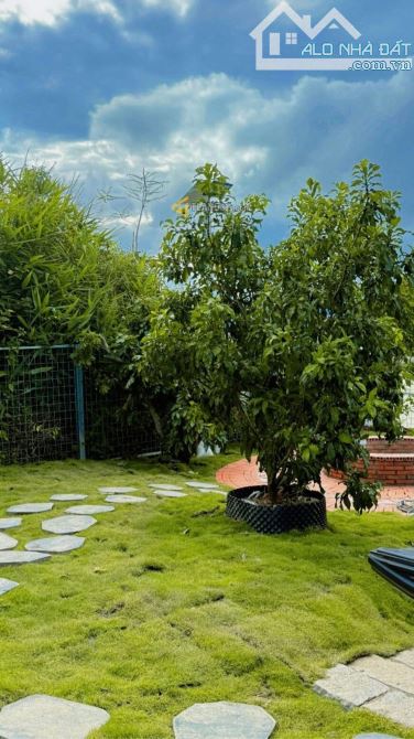 Nhà cấp 4 sân vườn view đẹp đường Đankia, P.LangBiang ( p7 cũ ), Đà Lạt - 9