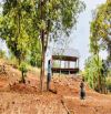 🔥 Chỉ 2,1 TỶ SỞ HỮU NGAY 🔥 Đất 60m mặt tiền – Hẻm 19/5 – View suối cực đẹp 🌿