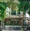 Cho thuê nhà mặt phố Nguyễn Thị Định – Thanh Xuân, 212m², MT 28m, giá 197 triệu/tháng