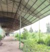 Xưởng Và Đất 9000m2 Quảng Tiếng Trảng Bom Đồng Nai Điện 3fa Đường Cont Thoải mái
