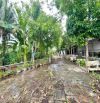 Bán 2500 m2 đường Mạc Thiên Tích xéo Đại Học Cần Thơ - 62 tỷ (thương lượng)