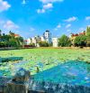 🏡 BÁN NHÀ BẮC TỪ LIÊM – VIEW HỒ – Ô TÔ ĐỖ CỬA – NHỈNH 5 TỶ