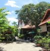 OA HỒNG BUNGARY – BIỆT THỰ SÂN VƯỜN – LÔ GÓC VIEW SÔNG 242M² – AN HOÀ 6 – 12.5 TỶ.