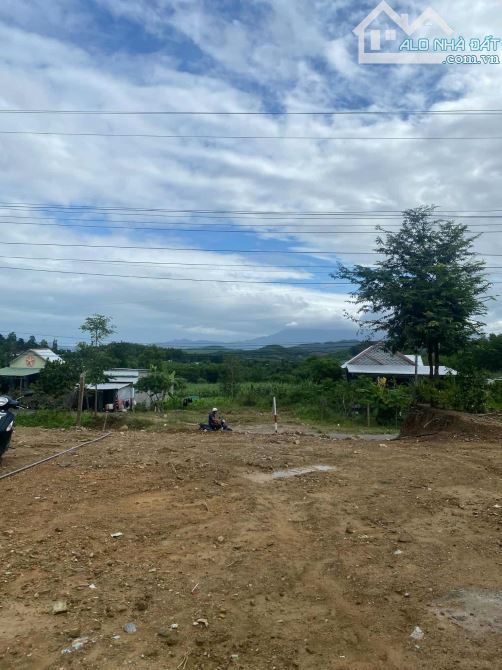 BÁN ĐẤT CÓ NHÀ CẤP 4 NHỎ MẶT TIỀN TL8B. - 4