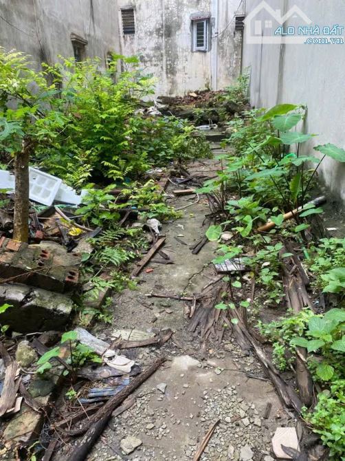 LẠC LONG QUÂN 44/60M2 – ĐẤT VUÔNG ĐẸP – CÁCH Ô TÔ 2 NHÀ – NGÕ TRẢI NHỰA THOÁNG – 8.8 TỶ - 4