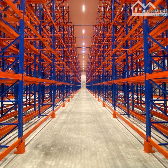 Kho chung Toàn Phát - Giải pháp linh hoạt cho doanh nghiệp hiện đại
