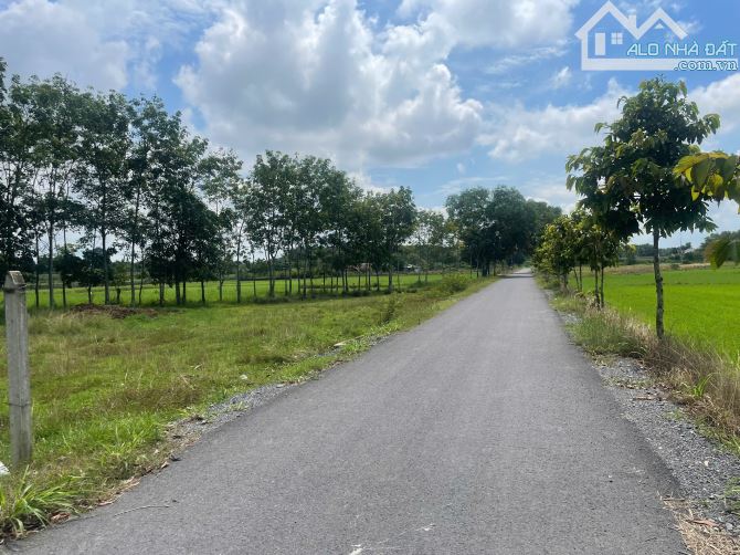 🔥  BÁN ĐẤT ĐẸP CỦ CHI DT:138M2 GIÁ : 850TR