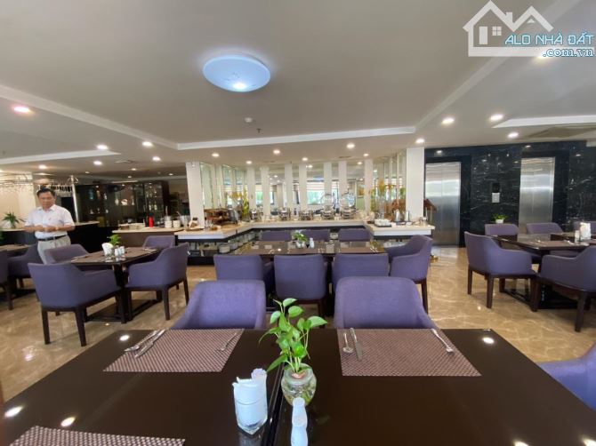 🏨 BÁN TÒA KHÁCH SẠN PHỐ NGUYỄN KHÁNH TOÀN – DT 288m² | 12 TẦNG + 1 HẦM MT 10m GIÁ 212 Tỷ