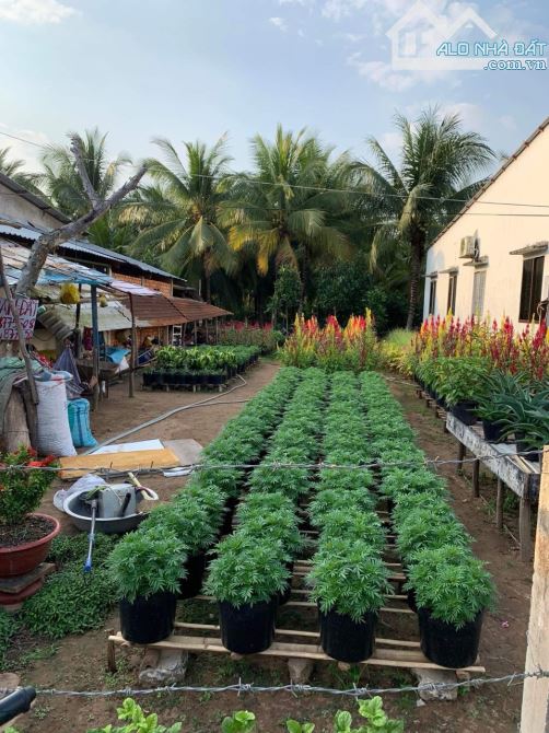 Cần bán nền đất full thổ, view sông, Bình Thuỷ, Cần Thơ