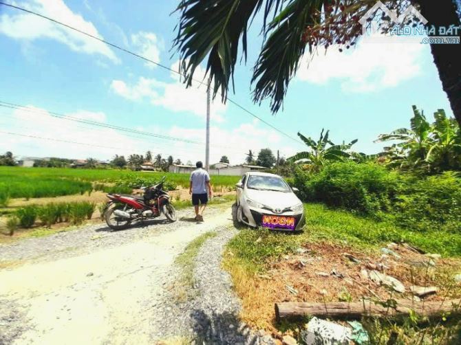 Hàng thơm, 132m2 đất thổ đường ô tô Nguyễn Thị Lầu chỉ 395tr