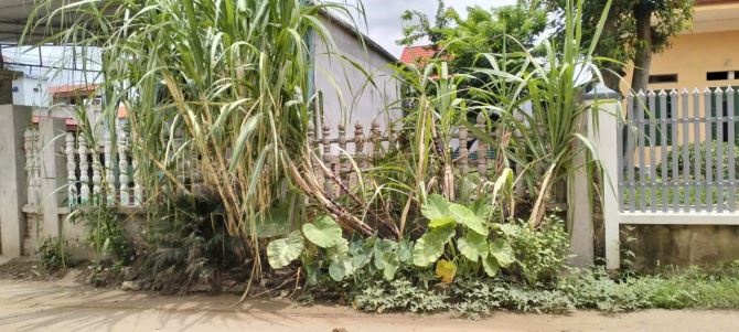 BÁN 125M ĐẤT NHẤT TRAI -QUANG MINH -TRỤC CHÍNH KINH DOANH -Ô TÔ TRÁNH -2.6 TỶ