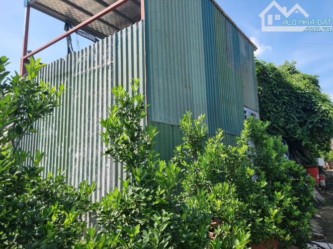 Cần tiền nên nhượng gấp 1500m2 đất vườn quất Tứ Liên-Phường Tứ Liên-Tây Hồ-Hà Nội
