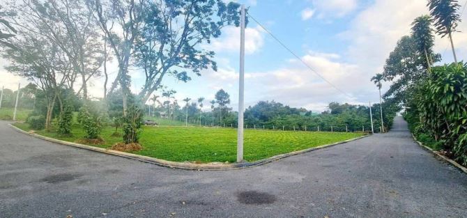 CHỦ CẦN BÁN 7 LÔ GIÁ ĐẦU TƯ TẠI LỘC AN