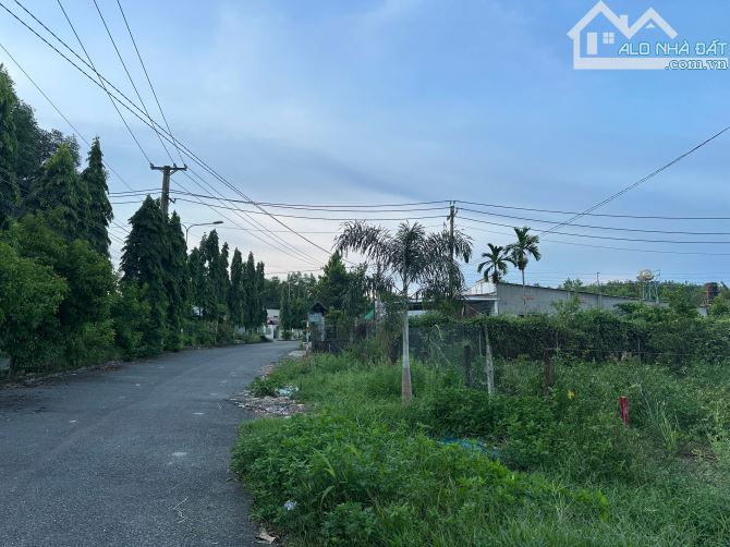 🚀 BÁN ĐẤT THỔ CƯ 10x30, ẤP 6 – TRỊ AN, VĨNH CỬU 🚀