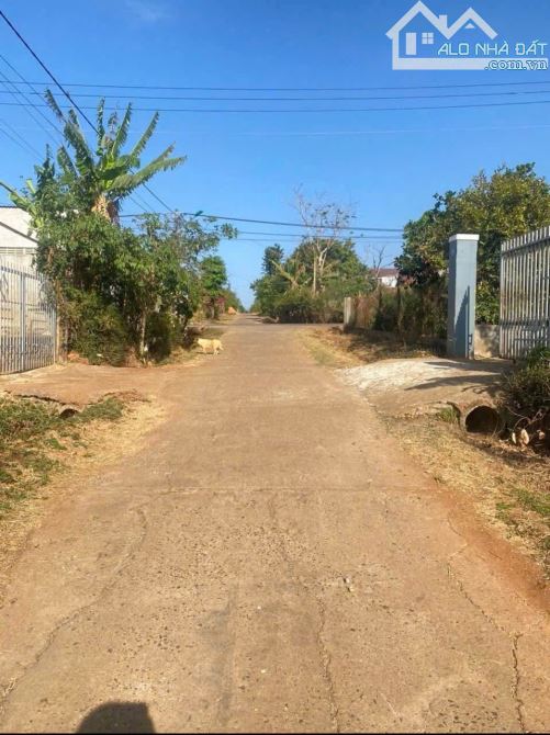 Cần Bán 5 Lô Liền Kề Đường A2 Thôn 4 Cư Bua Phường BMT