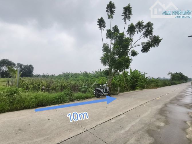 Đát SX nông nghiệp Yên Mỹ. DT: 393m, MT: 10m, giá: 1.55 tỷ, Đường 10m contener tránh