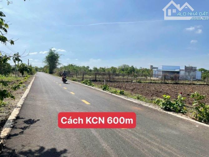 MẶT TIỀN Phạm Duy Trinh - TT Đất Đỏ - Đất Đỏ - BRVT 🌈Dt: 948m2 ngang 11x93 phủ hồng toàn