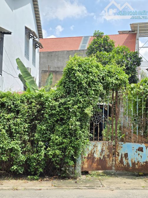 Bán đất MT kinh doanh gần chợ Đông Hòa 300m, p.Đông Hòa, Tp.Dĩ An chỉ 4,95 tỷ TL M7486