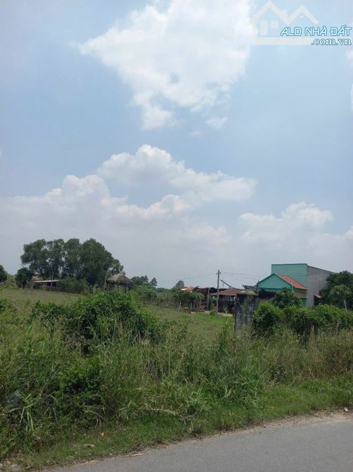 Bán đất vườn 1 xẹt ngắn đường Bến Than xã Tân Thạnh Đông Củ Chi TPHCM, DT: 4000m2.