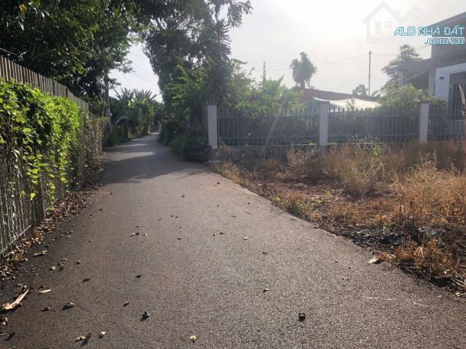 Diện tích: 1.000m2 - Giá bán: 3 tỷ 900 triệu, Bán đất Long Phước Bà Rịa Vũng Tàu - 2