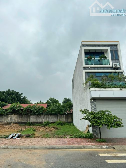 Bán đất đấu giá Đồng Hin, Lai Sơn, Đồng Tâm, Vĩnh Yên - 1