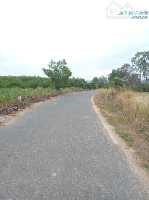 6 sào cây lâu năm có  100m mặt tiền đường nhựa, cách Ủy ban và trường học 1,5 km - 1