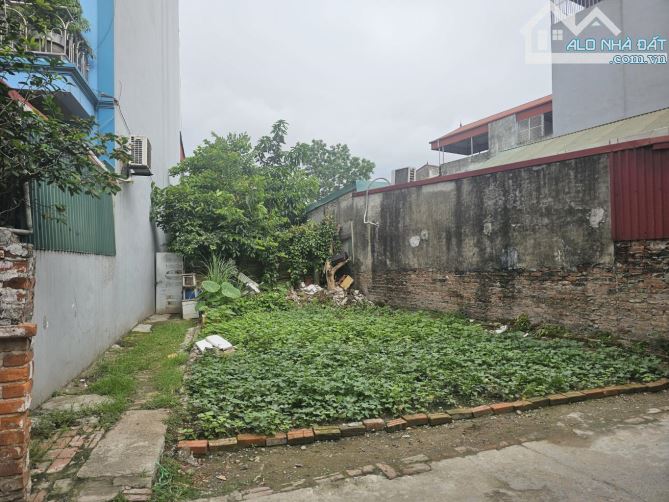 Chính Chủ Gửi Bán Đất Ngõ Gia Tự Long Biên - 1