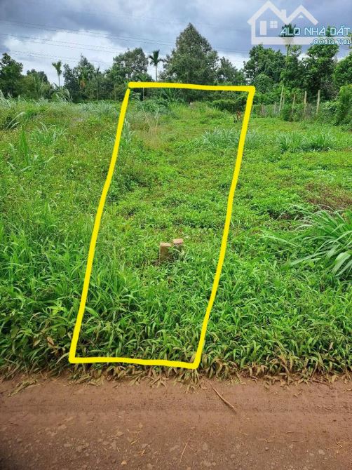 Bán Lô Đất Ở Cuôc Đăng Giá Rẻ Gần Quốc Lộ 14 - 1