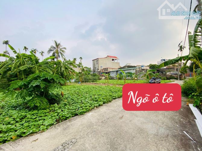 💥 Bán lô đất hiếm tại Lâm Động – Thủy Nguyên 💥 - 1