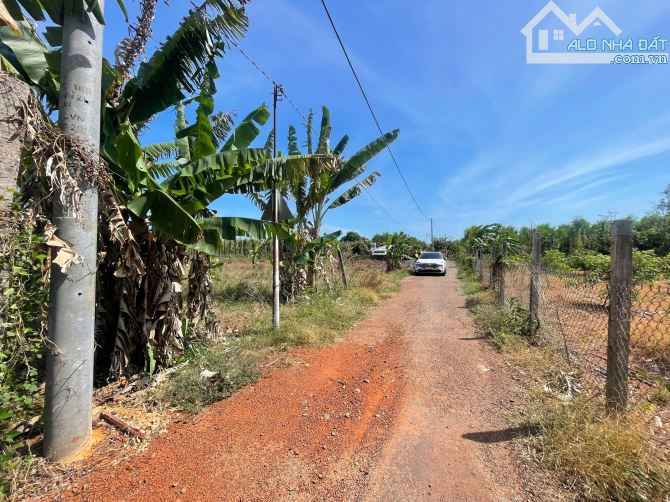 Bán lô đất tại xã Hòa Hội– Xuyên Mộc, Bà Rịa Vũng Tàu - 1