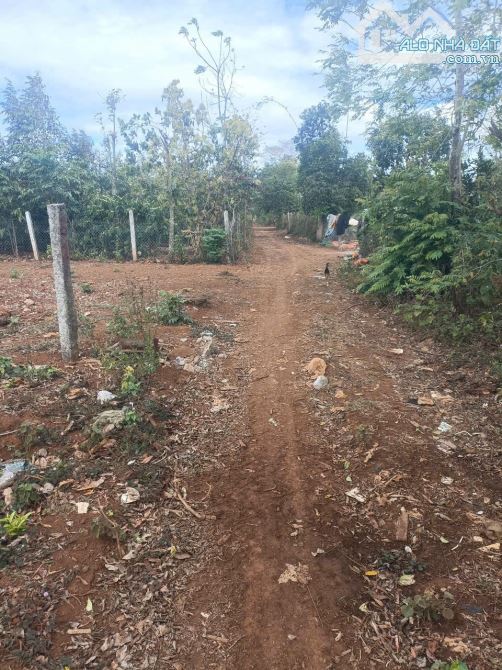 ĐẤT THỔ CƯ GIÁ RẺ 14x28m-199Triệu EATUL - CƯMGAR - ĐAKLAK - 1
