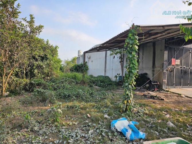 Bán lô đất sổ riêng thổ cư mặt tiền 768 Xã Thiên Tân - Vĩnh Cửu - giá 4 tỷ - 1