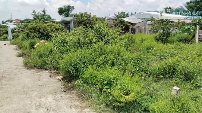 Bán đất Phú Thượng, Hòa Sơn, Hòa Vang, ĐN, 100 m2, ngang 5m, vuông vức, 1 tỷ 190 - 1