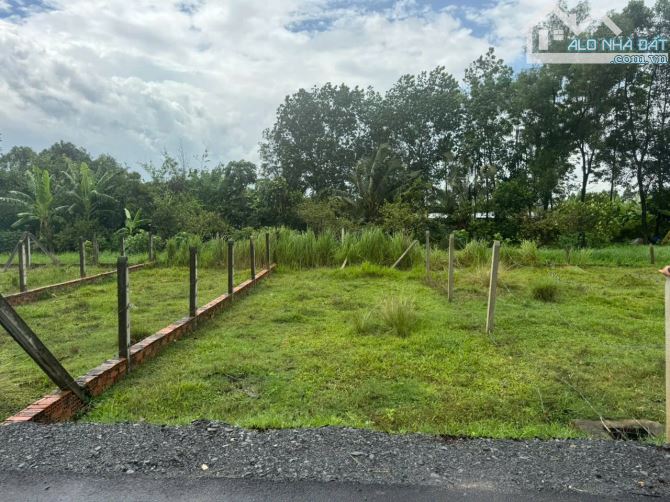 Bán đất đường Lê Thị Vui, Phước Hiệp, Củ Chi: 5 x 16,6m, giá 950 triệu. - 1