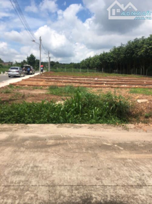 Bà Chị cần bán lô Thổ cư Xã An Long tp Hcm - 1