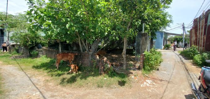 Bán đất 2 mặt kiệt, nở hậu, 127m2, ngang 6.7m, 2 tỷ 400, Đà Sơn 2, Liên Chiểu - 1