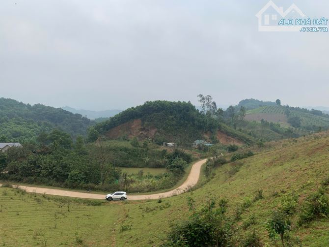 BÁN 5000M  MÉT ĐẤT NGHỈ DƯỠNG CAO PHONG HÒA BÌNH GIÁ CỰC ĐẦU TƯ - 1